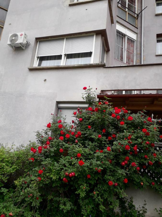 Apartments Lela Bihać Esterno foto